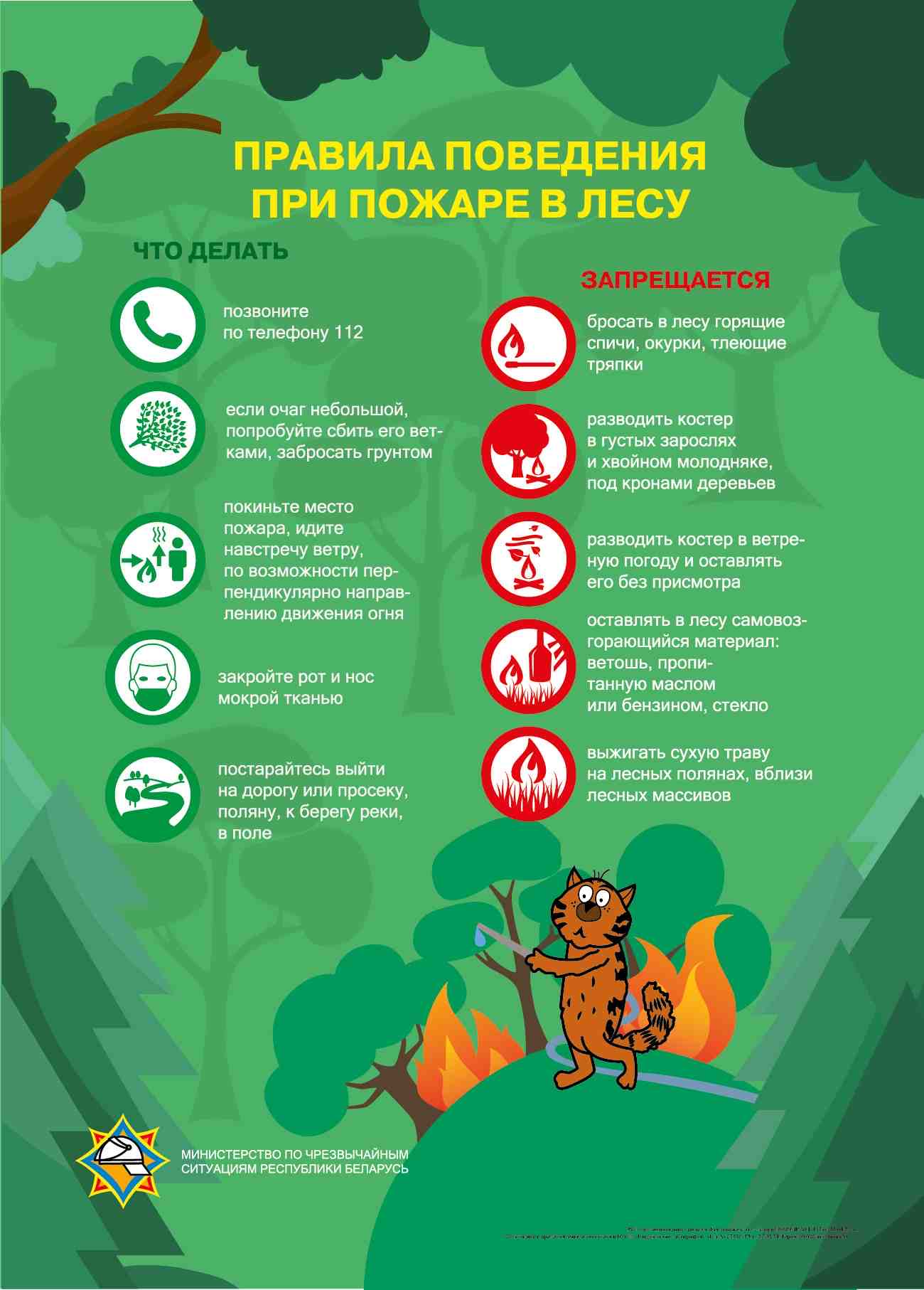 Правила безопасности в лесу