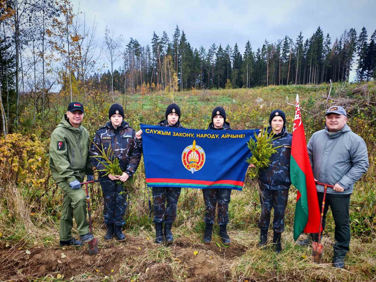 Дай лесу новае жыццё!